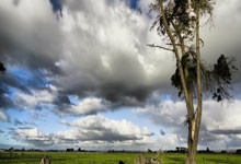 西甲第21輪巴塞羅那2-1畢爾巴鄂競技 梅西任意球破門打進職業生涯第650球.