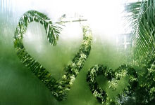 333体育:切爾西欲簽署15歲美國前鋒朱利安霍爾!.