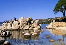 格林伍德秀出Nike鞋:NIKE回應無合作關系!.